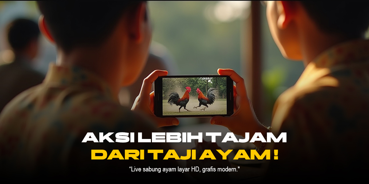Mengenal Ayam Bangkok: Raja Sabung Ayam Online di SV388